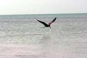 Images_Belize_2011_412