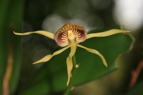 IMG_9882.JPG