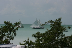 IMG_0912.JPG