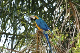 Portal_Paraiso_1_038.jpg