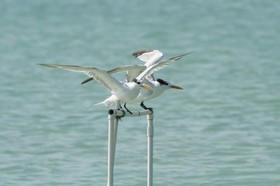 IMG_1545.JPG