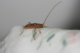IMG_9895.JPG