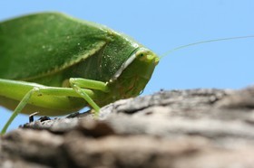 IMG_8381.JPG