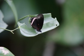 _MG_5431.JPG