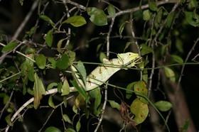 IMG_0666.JPG