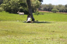 Portal_Paraiso_1_008.jpg