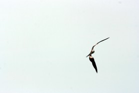 Images_Belize_2011_417