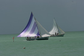 IMG_0838.JPG