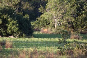 Portal_Paraiso_2_098.jpg