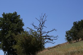 Chassagne_101.JPG