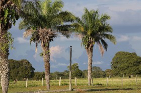 Portal_Paraiso_1_042.jpg