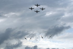 IMG_2154