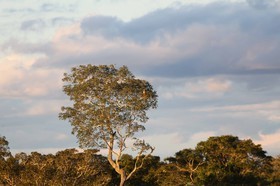 Portal_Paraiso_2_020.jpg