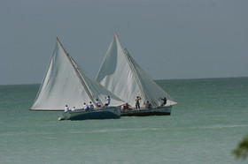 IMG_0922.JPG