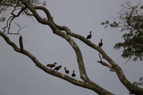 Portal_Paraiso_2_079.jpg