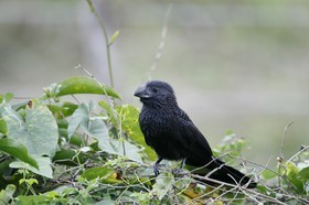_MG_5069.JPG