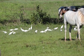 Portal_Paraiso_2_082.jpg
