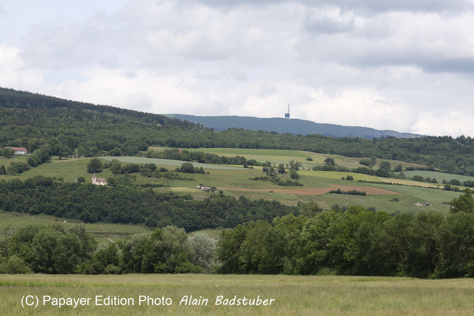Vieille-Thielle_156.JPG