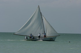 IMG_1061.JPG
