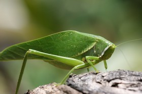 IMG_8389.JPG