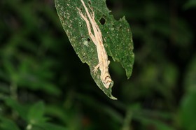 IMG_9740.JPG