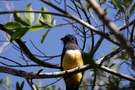 Images_Belize_2011_049