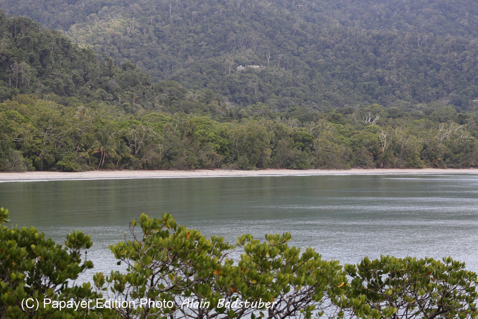 Cape-Trib_0715.JPG