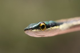 IMG_8321.JPG