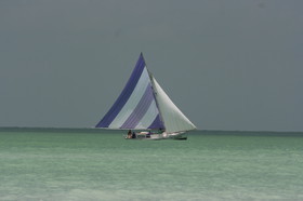 IMG_0788.JPG