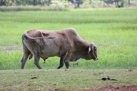 Portal_Paraiso_1_030.jpg