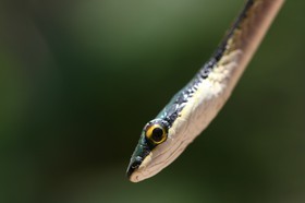 IMG_8329.JPG