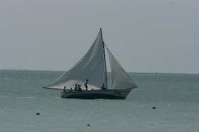IMG_0991.JPG