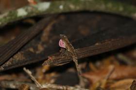 _MG_7469.JPG