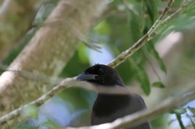 Portal_Paraiso_2_048.jpg