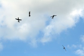 IMG_2190