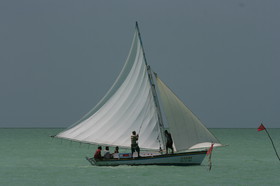 IMG_0846.JPG