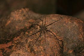 IMG_9663.JPG