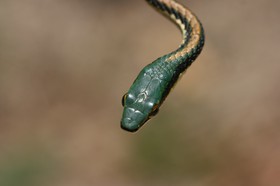 IMG_8351.JPG