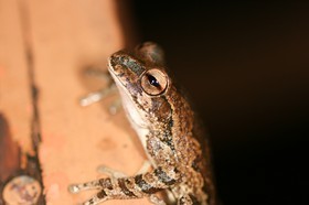 IMG_9790.JPG