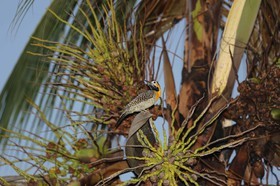 Portal_Paraiso_1_015.jpg