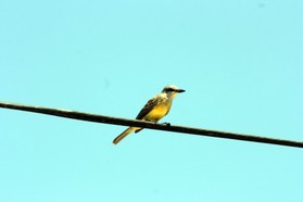 Images_Belize_2011_066