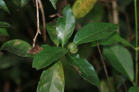 IMG_9805.JPG