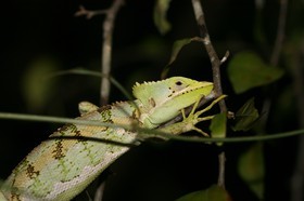 IMG_0668.JPG