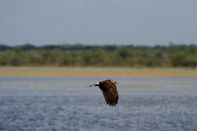 _MG_4660.JPG