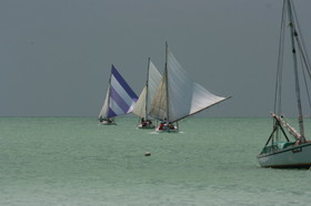 IMG_0826.JPG