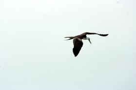 Images_Belize_2011_433