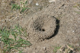 IMG_9837.JPG
