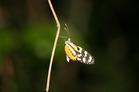 IMG_0538.JPG