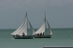 IMG_0907.JPG