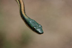 IMG_8339.JPG